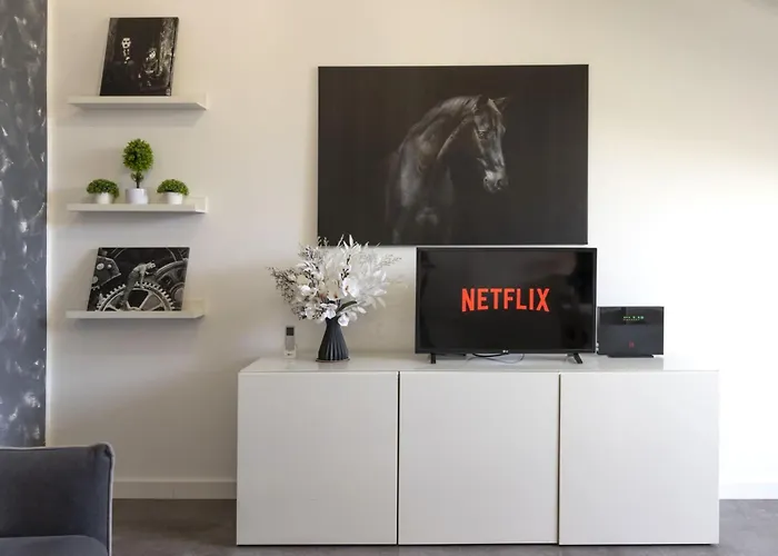 Apartamento [centro-via Garibaldi] Elegante Mansarda Con A/c *