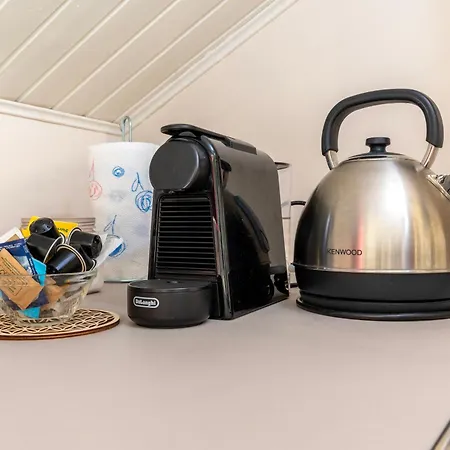 Apartamento [centro-via Garibaldi] Elegante Mansarda Con A/c Turín